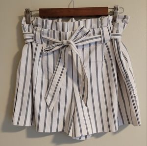 Zara TRF Collection High Waisted Shorts, Large